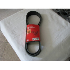 Ремень поликлиновый DONGIL