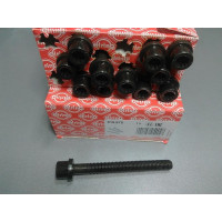 Комплект болтов головки цилидра  ELRING LT 2.5TDI/T4 2.4/2.5TDI