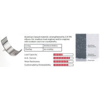 Шатунный подшипник  IPSA