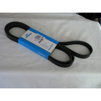 Поликлиновой ремень  DAYCO