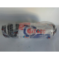 Пружина задняя к-кт 2 шт (пр-во FOBOS) Chevrolet Aveo