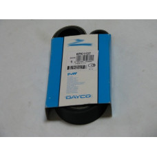 Поликлиновой ремень DAYCO