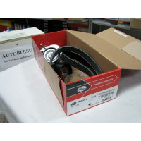 Поликлиновой ременный комплект (GATES) LADA LARGUS, RENAULT LOGAN