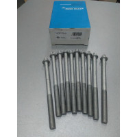 Болты ГБЦ к-кт (пр-во Victor Reinz) Daewoo Lanos, Nubira 1.6