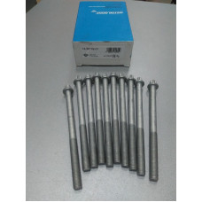 Болты ГБЦ к-кт (пр-во Victor Reinz) Daewoo Lanos, Nubira 1.6