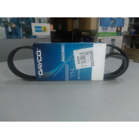 Ремень поликлиновый (пр-во DAYCO) BMW