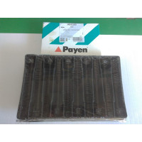 Болты ГБЦ (пр-во PAYEN) Fiat Dodlo, Opel CORSA C, Opel COMBO 1.3 JTD 16V 05.04-