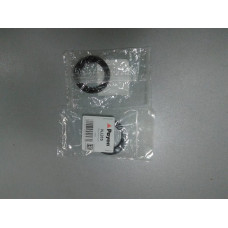 Сальник распредвала задний (PAYEN) Nissan PRIMERA