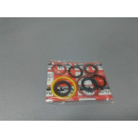 Ремкомплект сальников маслонасосо (ARI-IS) FORD TRANSIT 2.5D, 2.5TDI