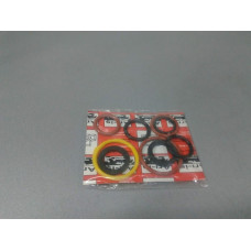 Ремкомплект сальников маслонасосо (ARI-IS) FORD TRANSIT 2.5D, 2.5TDI