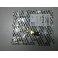 Датчик температуры охлаждающей жидкости A133617011 (пр-во FITSHI) ZAZ Forza, Chery A13