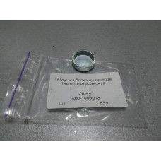 Заглушка блока D=18 mm. CHERY, Renault, Chery Amulet