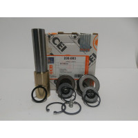 Рем комплект шкворня на сторону (пр-во CEI) RENAULT Mascott