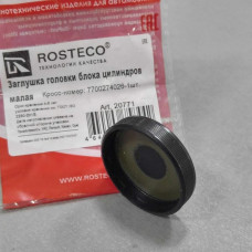 Заглушка ГБЦ малая RENAULT 