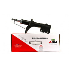 ASM FR462195 = A21-2905010