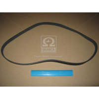 Ремень генератора, DONGIL, 6PK1200, RENAULT, KANGOO, Logan, Sandero, без A/C