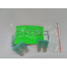 Предохранитель 35А TS FT35A (пр-во TESLA)