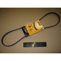 Ремень поликлиновой (Пр-во ContiTech)