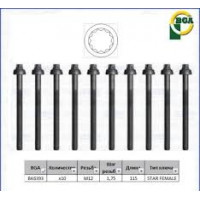Комплект болтов головки цилидра BGA VW T-4