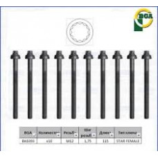 Комплект болтов головки цилидра BGA VW T-4